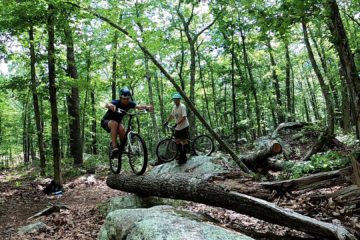 Alex rides up onto a fallen tree