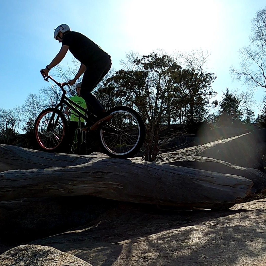 Tim rides a skinny up a Y-shaped driftwood tree on his trials bike